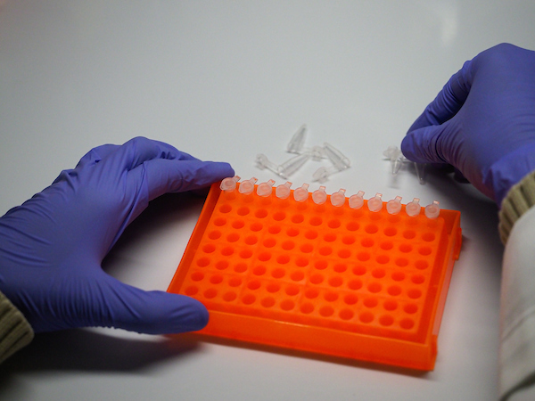 research, lab