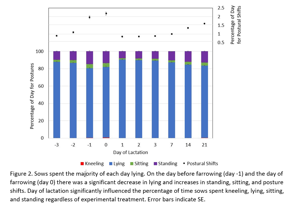 Sow farrowing Graph showing fluctuations of posture