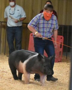 Cover photo for Albemarle Spring Fever & Land of Promise Jackpot Shows